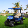 2021 New Design Z Series 2 Seater Lifted Electric Golf Car for Sale